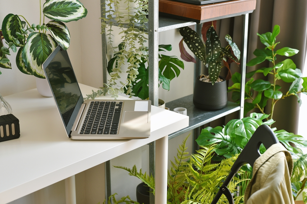A modern desk with a laptop surrounded by various **easy office plants**, creating a green and calm workspace.
